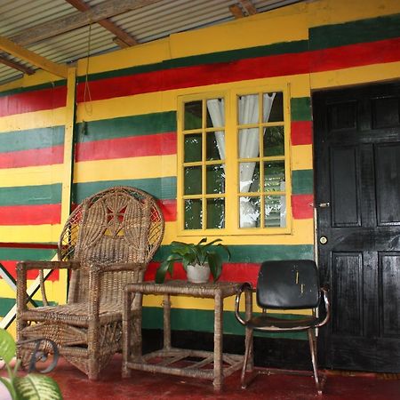 Nature In Portland Port Antonio Exterior foto