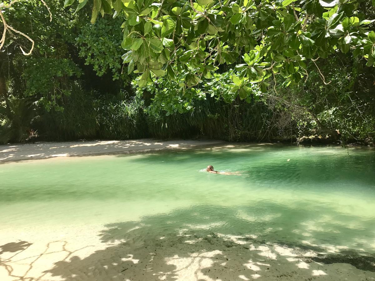 Nature In Portland Port Antonio Exterior foto