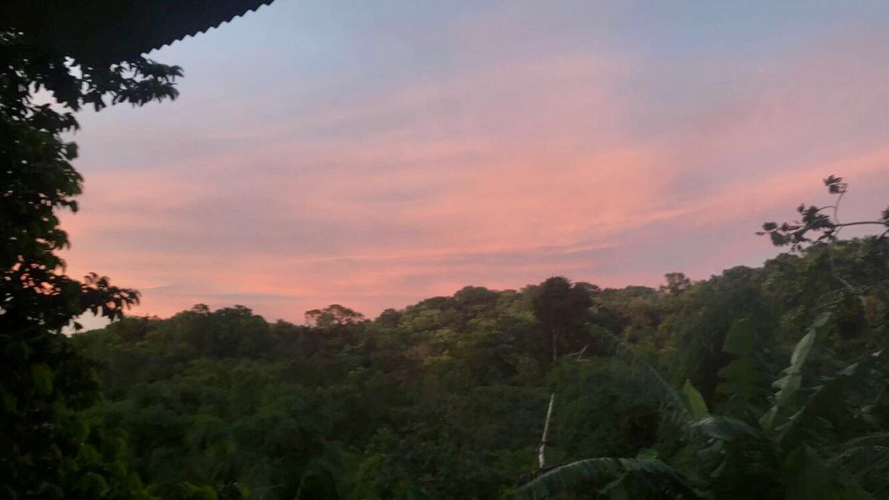 Nature In Portland Port Antonio Exterior foto
